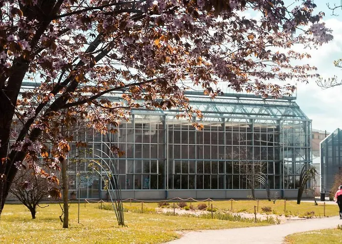 La Magie Des Numeros T3, Proche Halles Apartament Tours