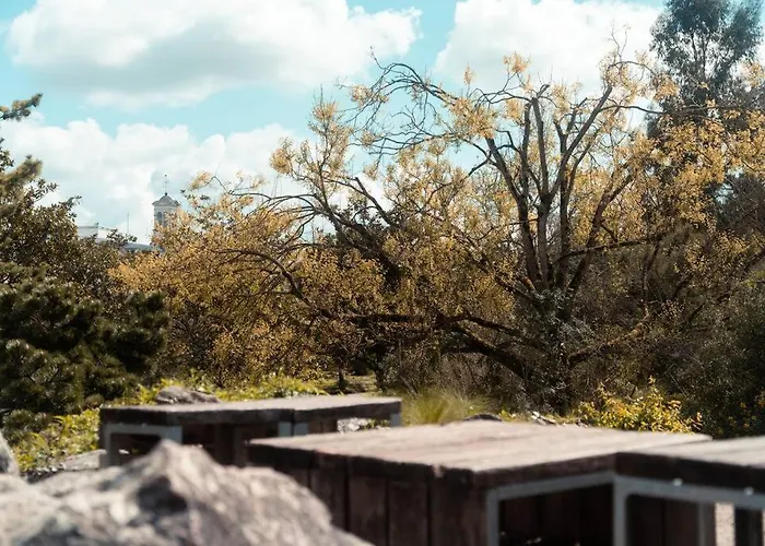 La Magie Des Numeros T3, Proche Halles Tours